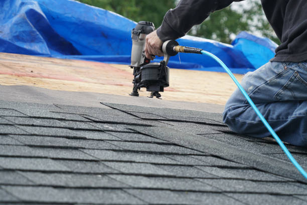 Best Shingle Roofing Installation  in East Cleveland, TN